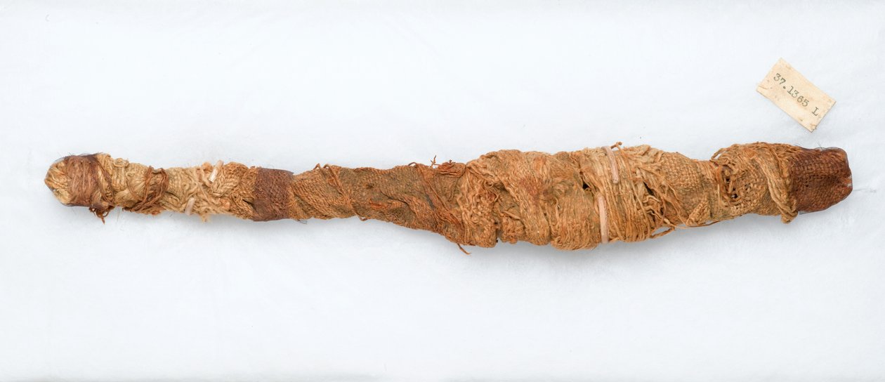 Mummie van een krokodil, gevonden in Manfalont, 305-30 v.Chr. door Egyptian Ptolemaic Period
