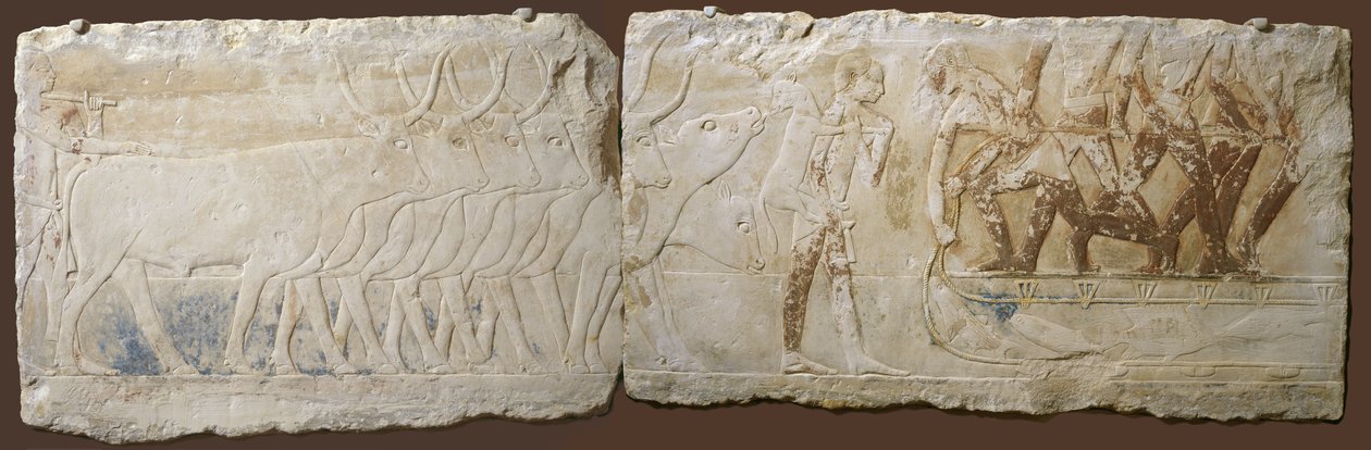 Reliëf van boeren die vee drijven en vissen, Oude Koninkrijk, 2450-2290 v.Chr. door Egyptian School