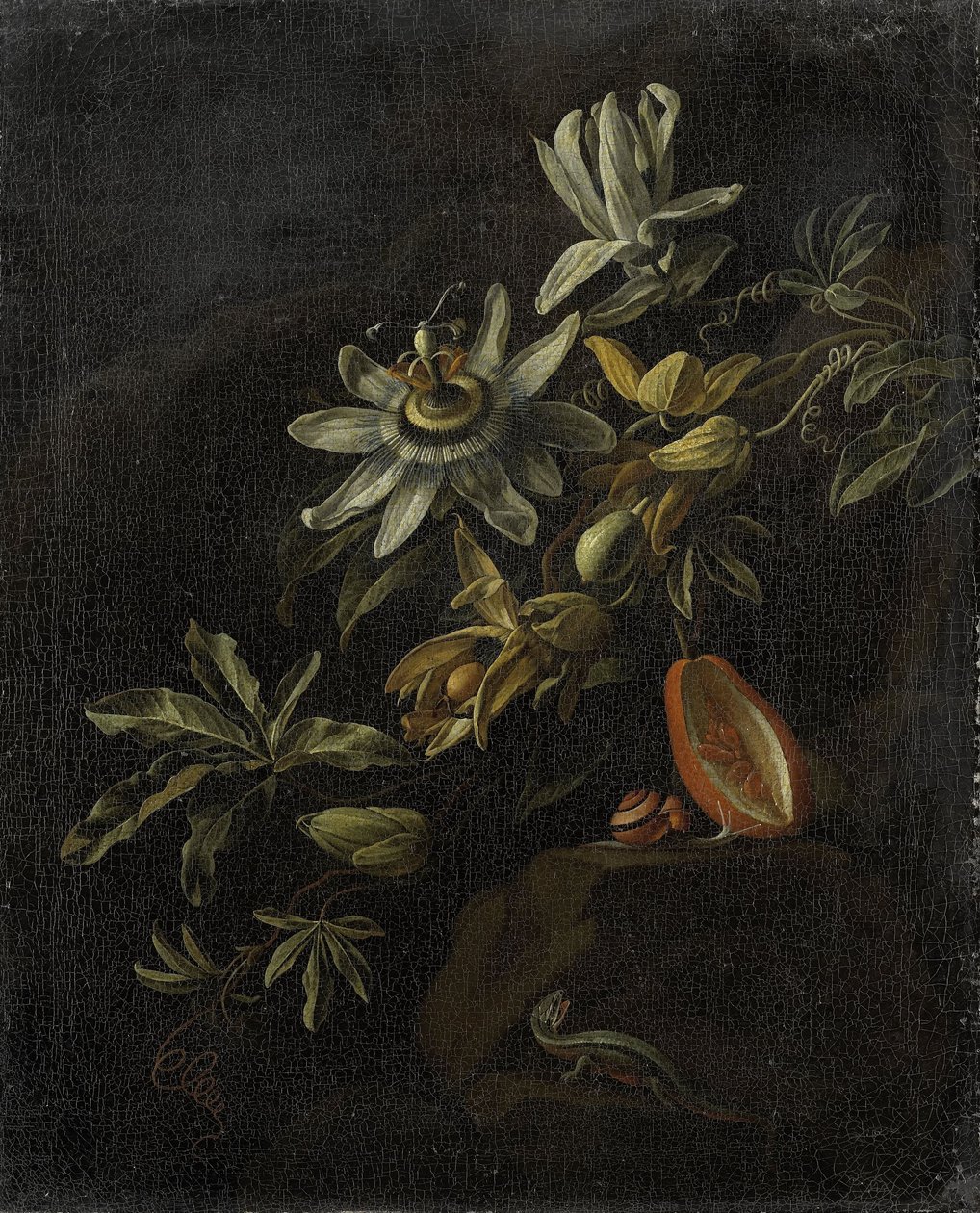 Stilleven met passiebloemen door Elias van den Broeck