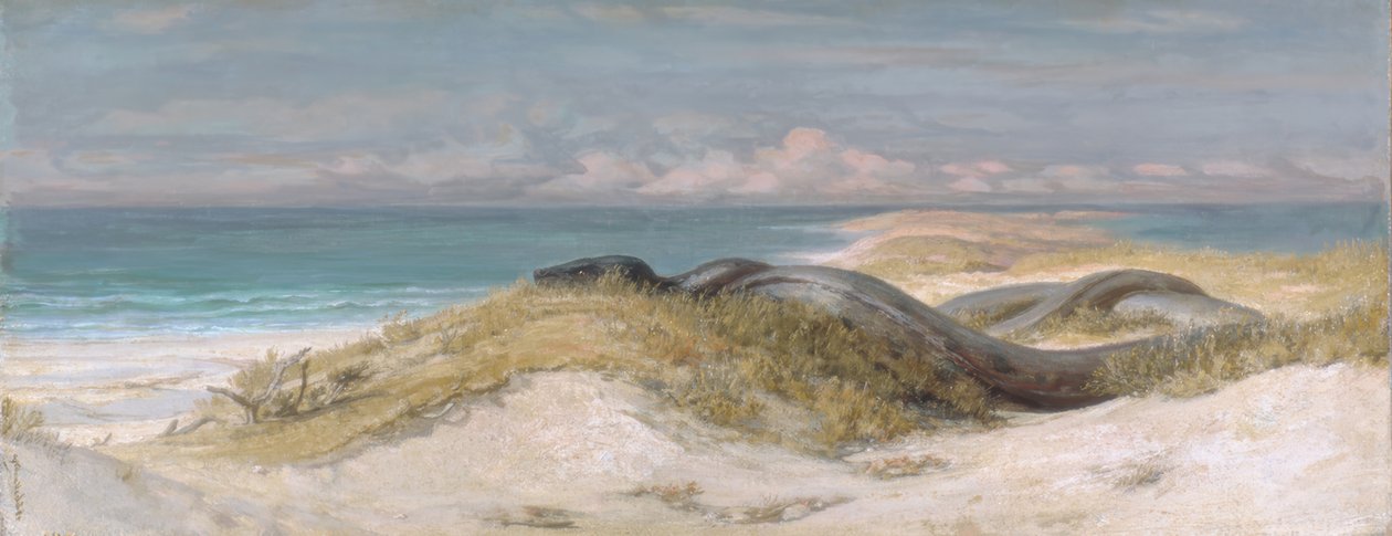 Grot van de zeeslang door Elihu Vedder