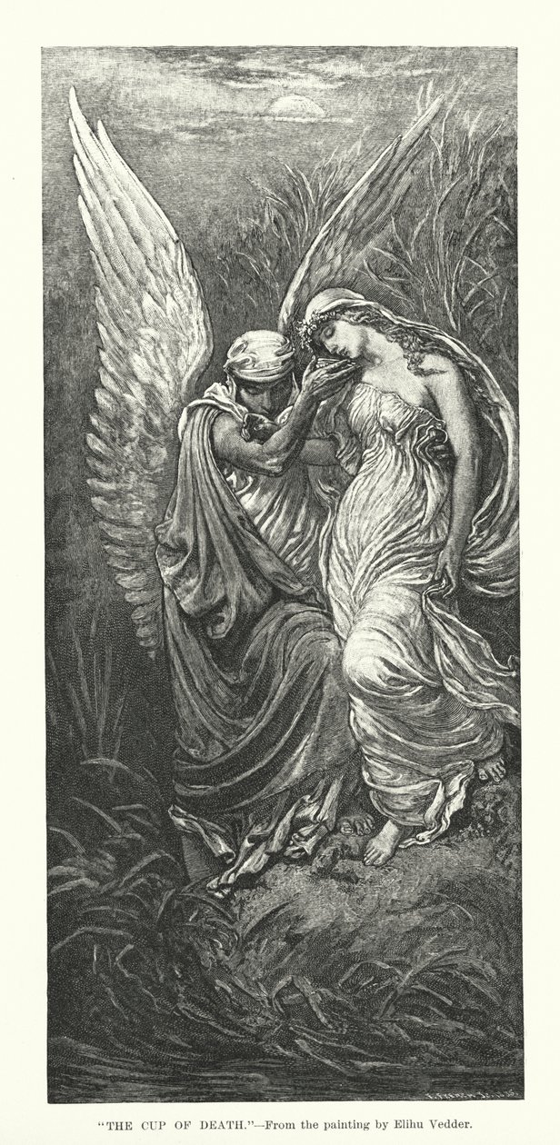  door Elihu Vedder