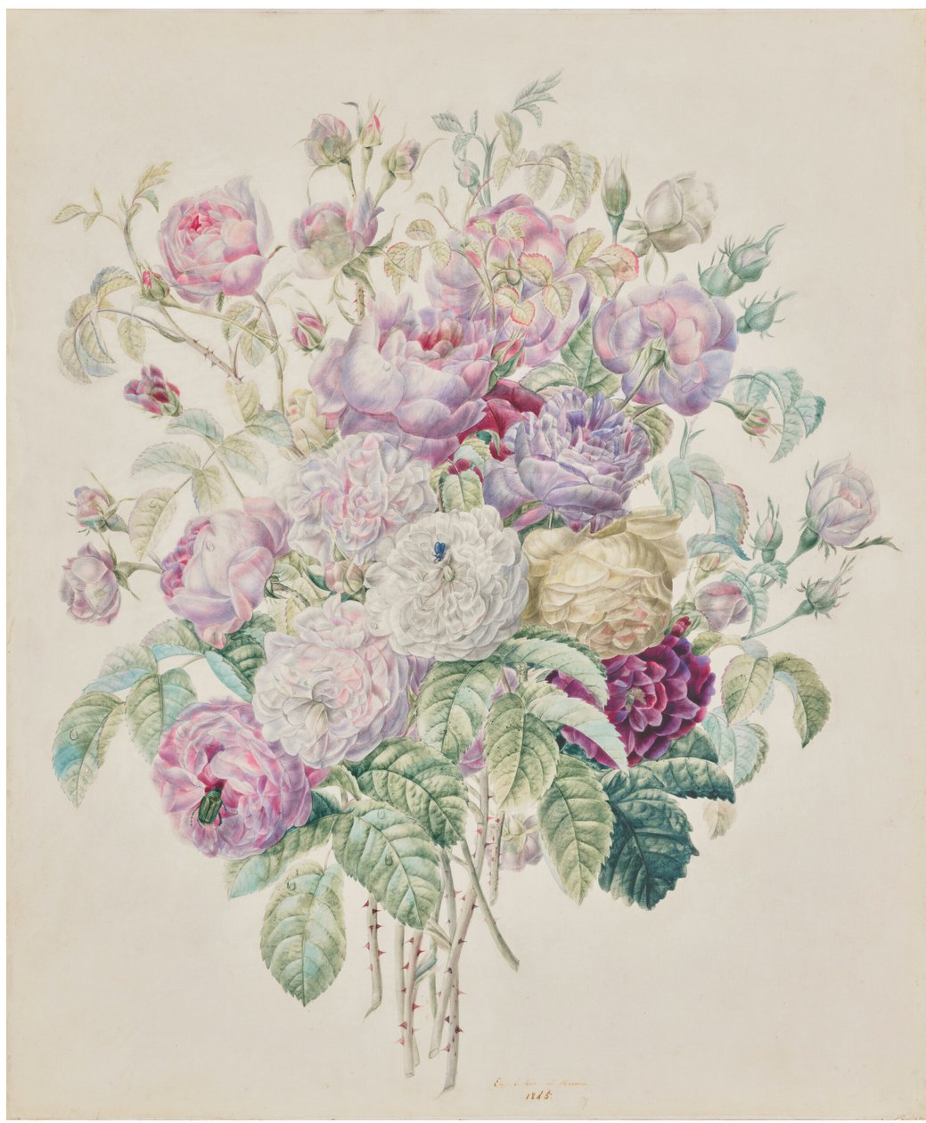 Een boeket Bourbon rozen door Elisa Emilie Lemire