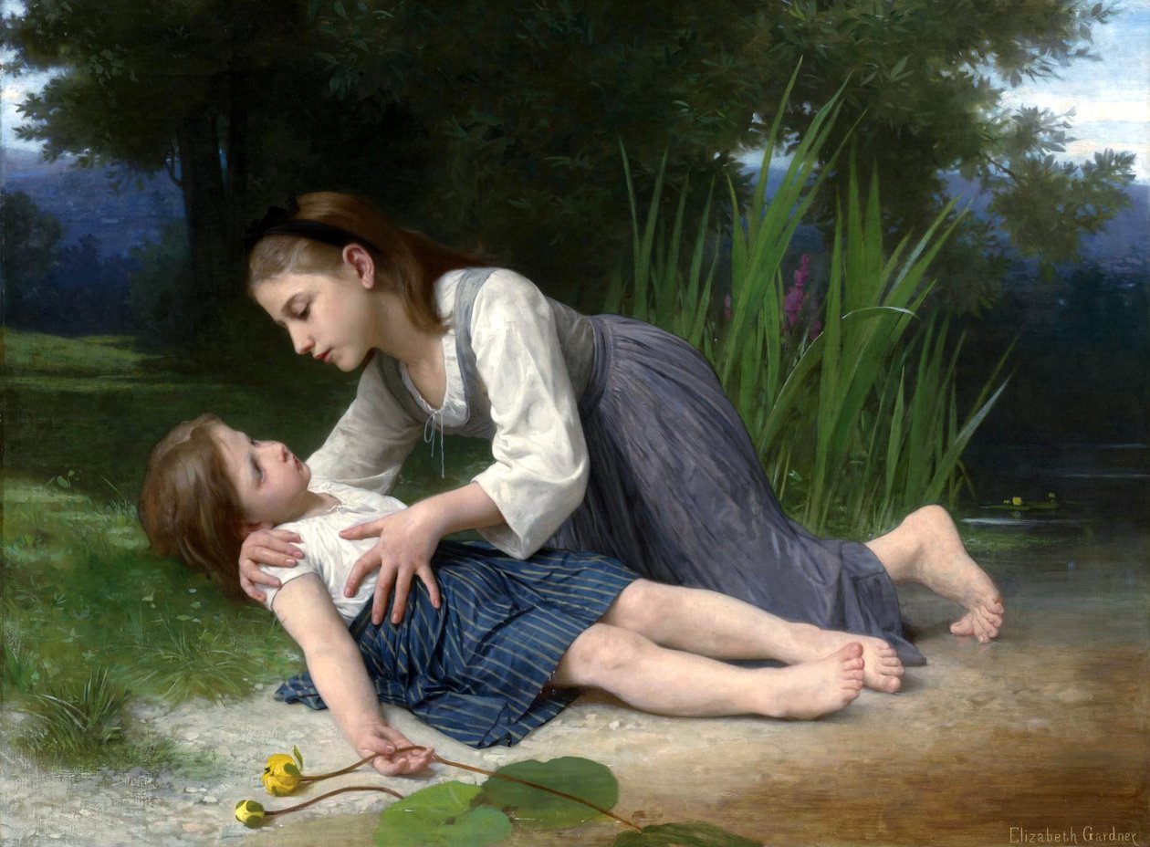 Het onvoorzichtige meisje door Elizabeth Jane Gardner