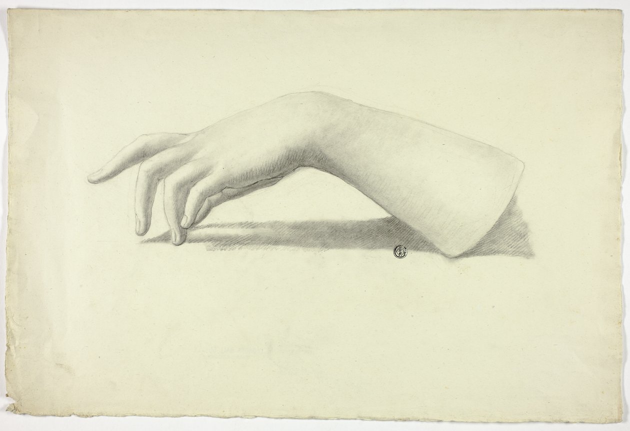 Linker onderarm en hand door Elizabeth Murray