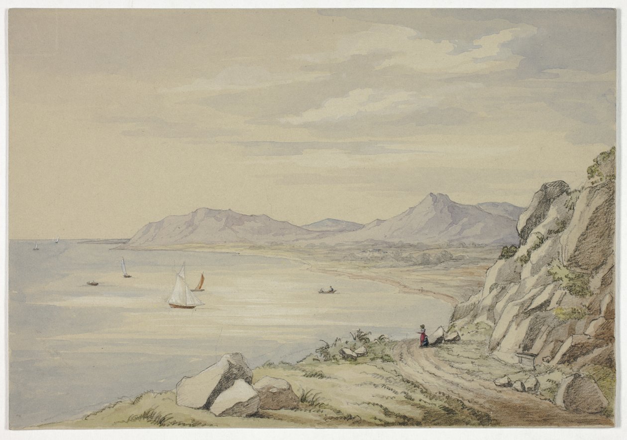 Val van Shanganagh, Killiney door Elizabeth Murray