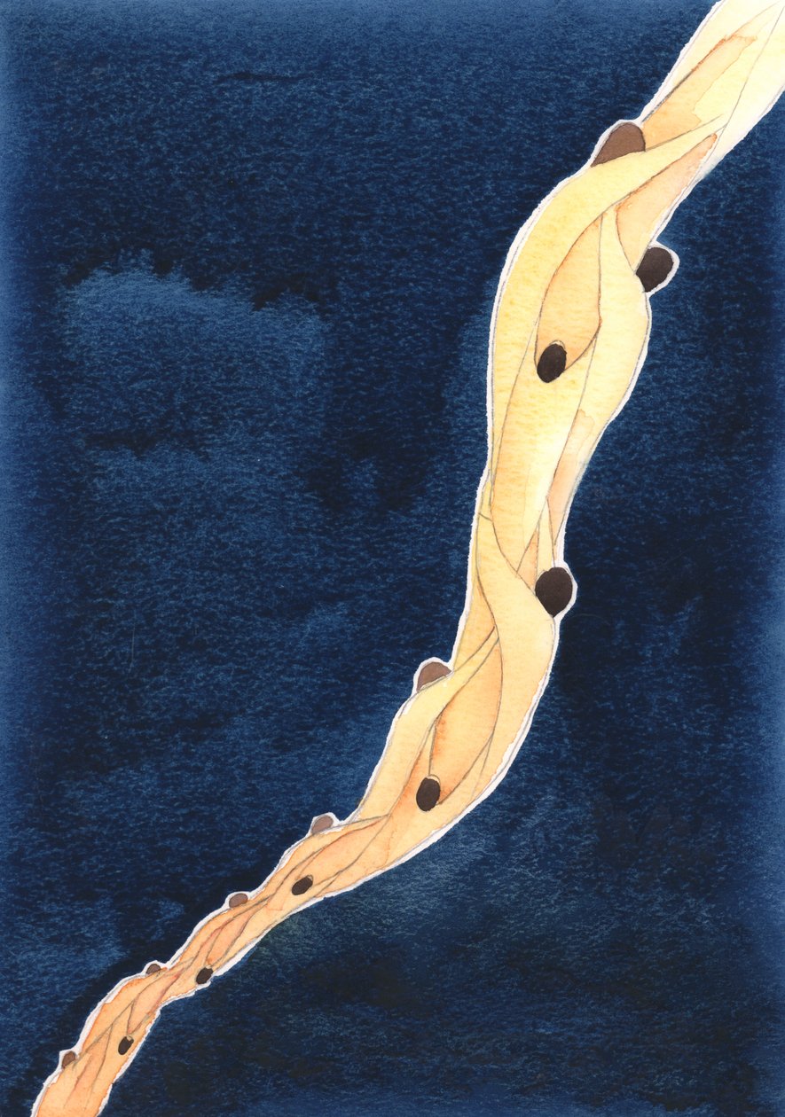 Onze voorbede voor de Heilige Zielen in het Vagevuur, in de naam van Jezus, is als een touw dat hen naar de hemel trekt, 2002 door Elizabeth Wang