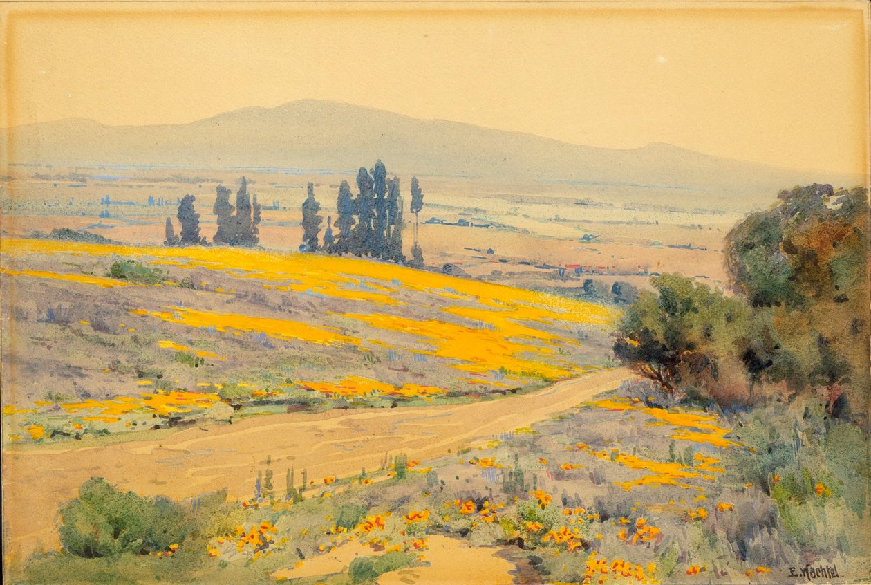Californisch lentelandschap door Elmer Wachtel
