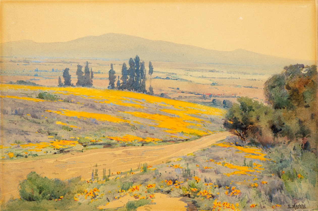 Lente Landschap in Californië, ca. 1920 door Elmer Wachtel