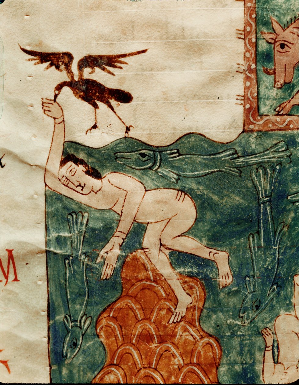 Raven plukken aan een dood lichaam door Emeterio the Monk