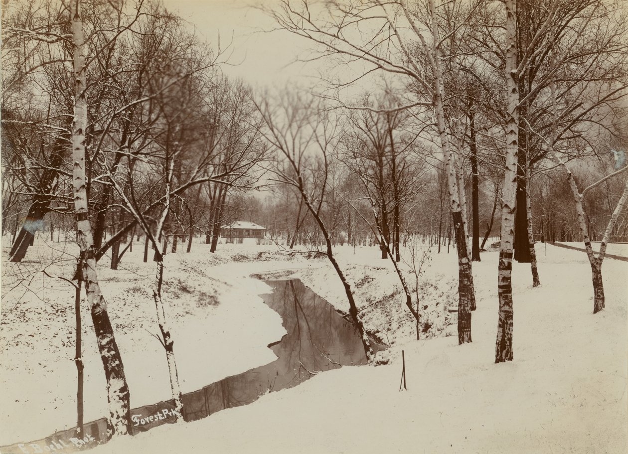 Winterscène in Forest Park met stroom die door de sneeuw snijdt door Emil Boehl