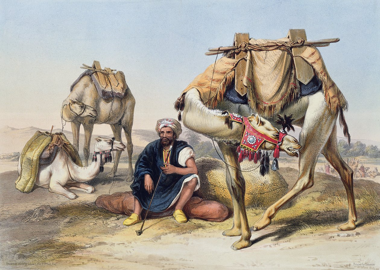 Rustende kamelen in de Sherkiyeh, Land van Gosen, illustratie uit 