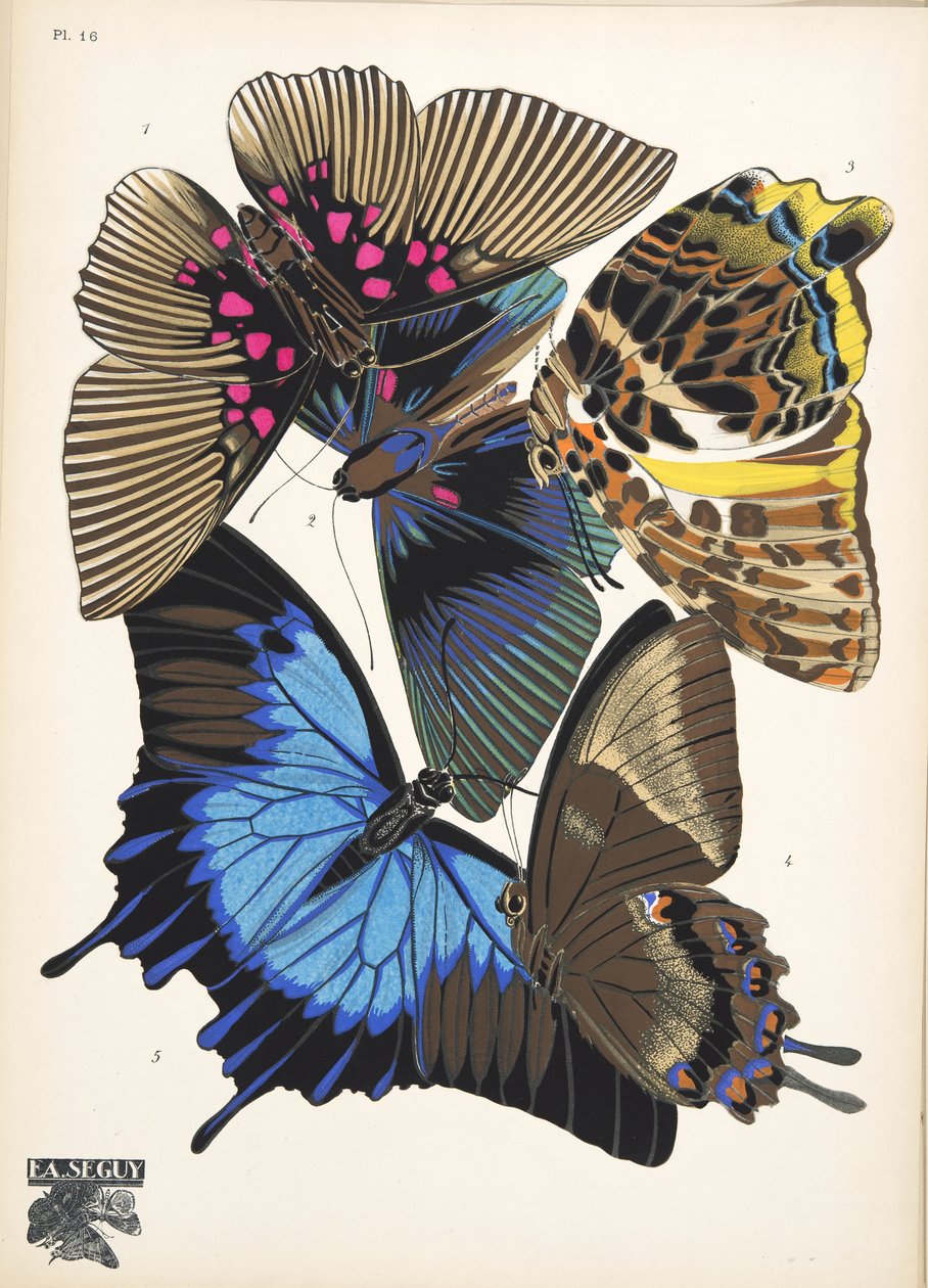 Plaat 16, uit Papillons, uitgegeven 1925 door Émile-Allain Séguy