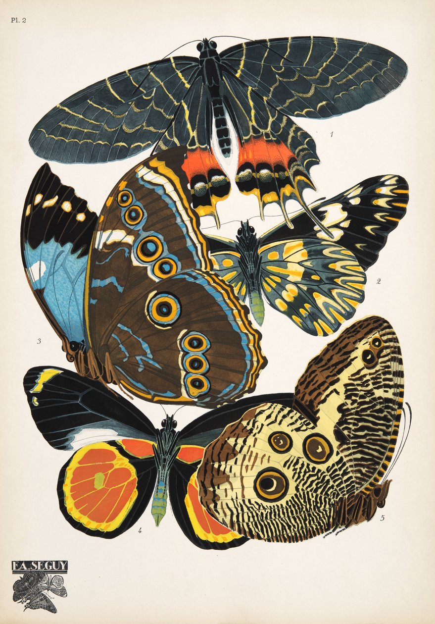 Plaat 2 uit Papillons, uitgegeven in 1925 door Émile Allain Séguy