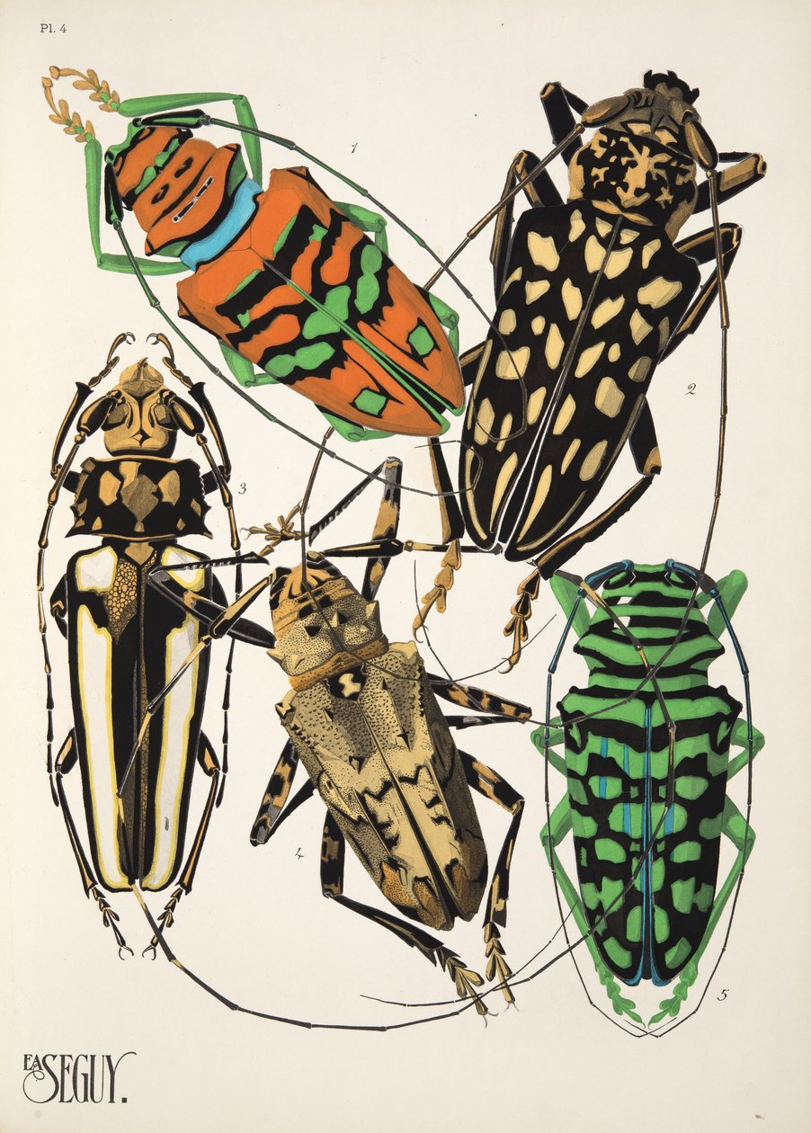 Plaat 4 uit Insectes, uitgegeven in de jaren 1930 door Émile Allain Séguy
