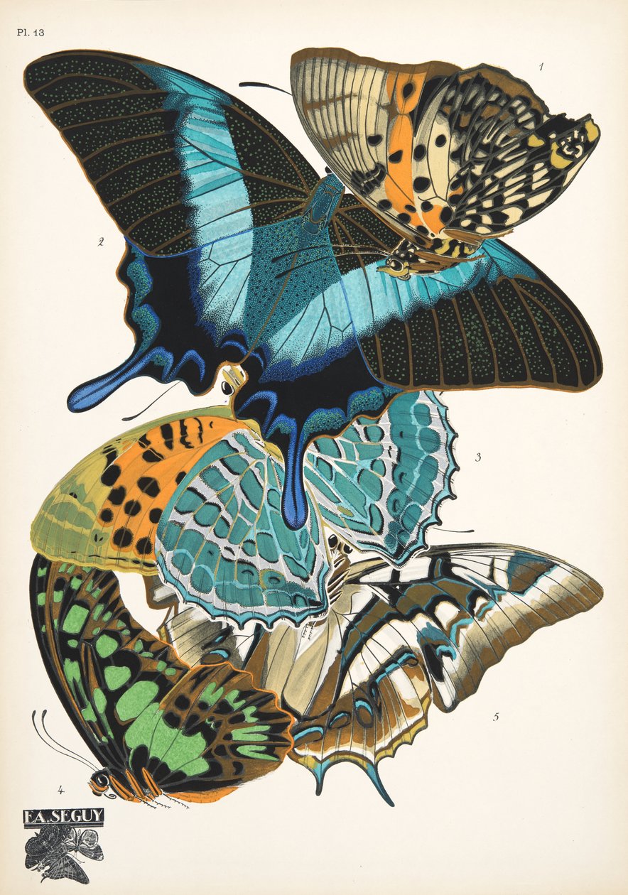 Plaat 13, uit Papillons, pub. 1925 door Émile Allain Séguy