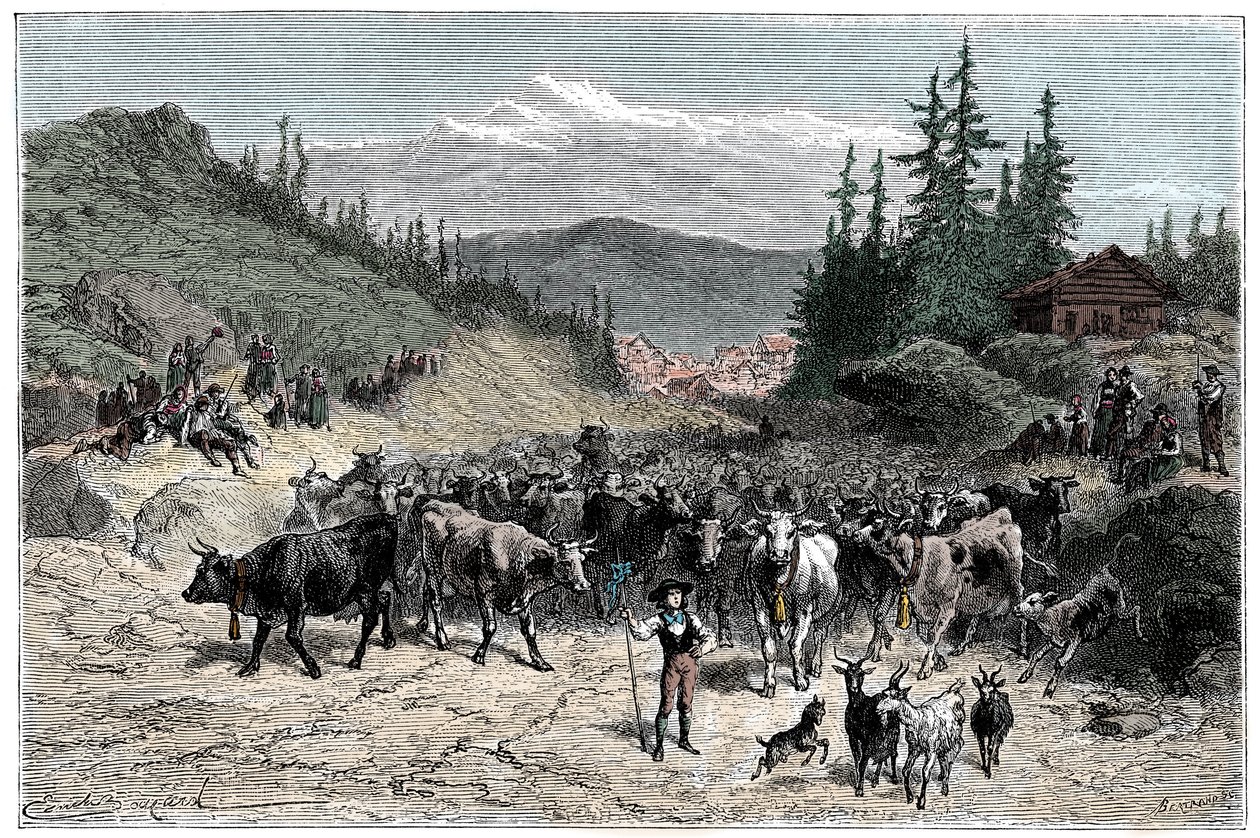 Alpen: de jodel of vertrek van kuddes (koeien, geiten) naar de weiden. Illustratie door Emile Bayard voor het boek 
