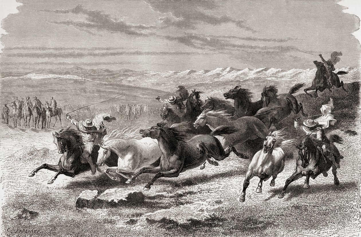 Argentijnse gaucho