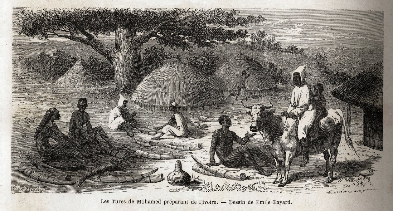 Voorbereiding van ivoor, voor een Turkse handelaar, Oeganda, tekening door Emile Bayard (1837-1891), ter illustratie van de ontdekkingsreis van Kapitein Speke in Afrika van 1860 tot 1863. Gravure in "Le tour du monde", uitgegeven door Edouard Charton door Emile Antoine Bayard