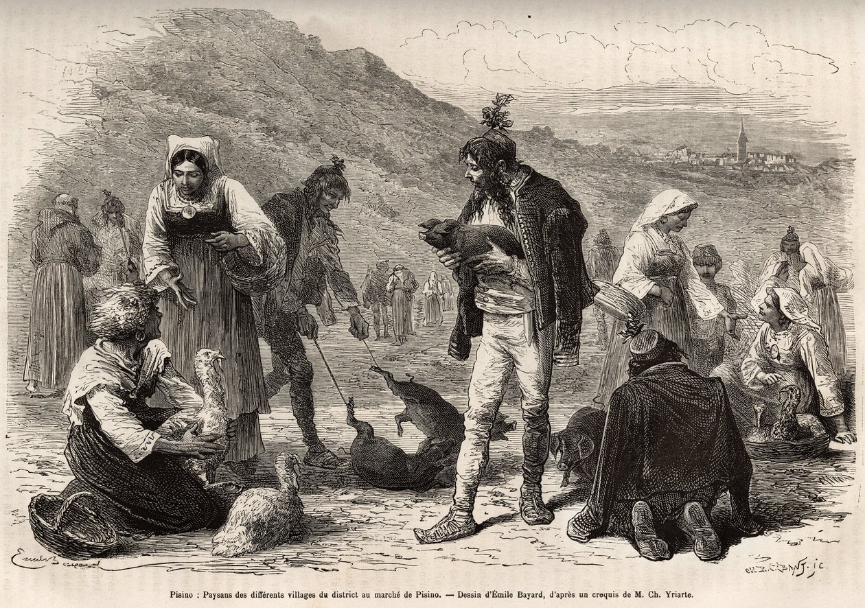 De boeren in de omgeving van Pisino (Kroatië), verzamelen zich voor de verkoop van hun landbouwproducten op de markt: gevogelte, biggetjes..., gravure naar een tekening van Emile Bayard ter illustratie van de reis in Istrië en Dalmatië, in 1874, door Charl door Emile Antoine Bayard