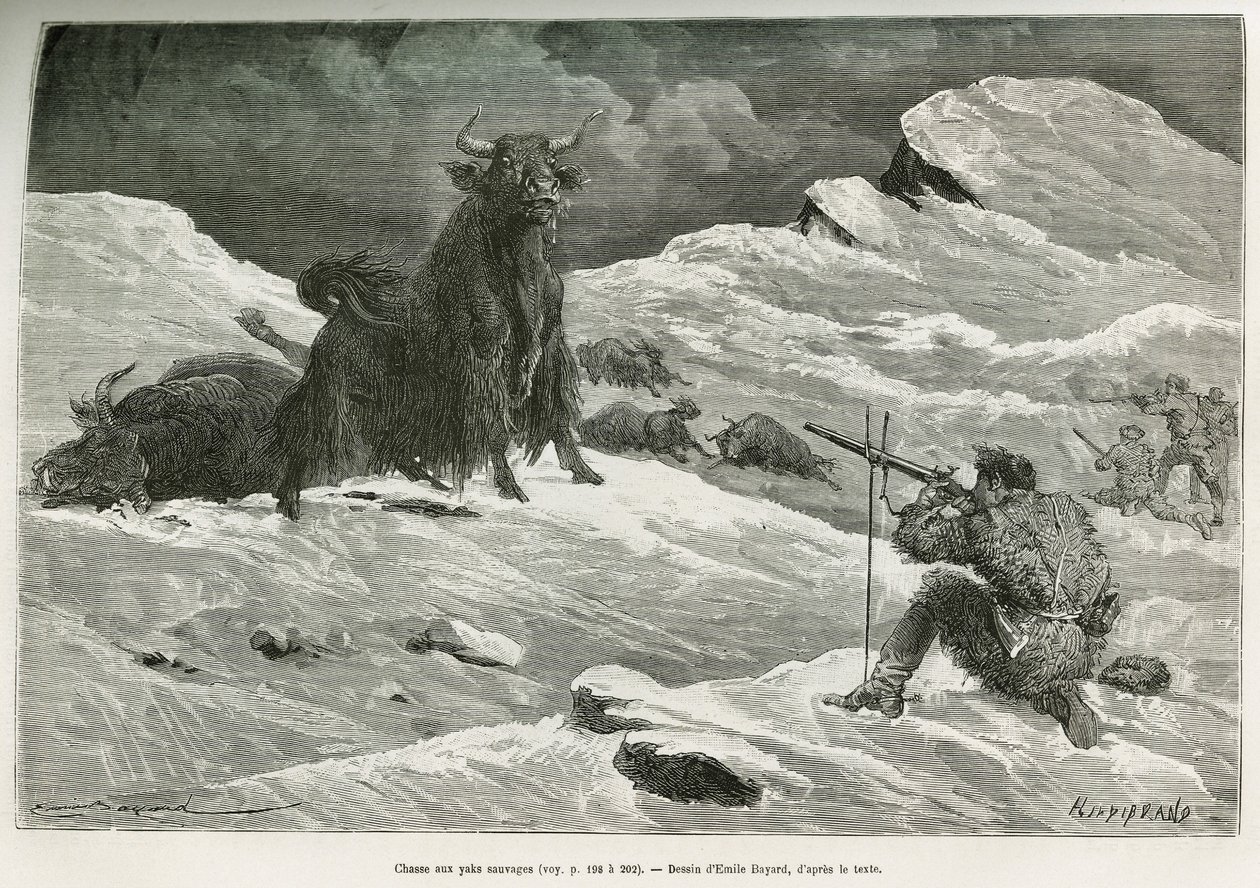 Jachtscène met wilde jak, tekening door Emile Bayard ter illustratie van de reis naar Mongolië en het land van de Tangoutes van 1870 tot 1873, door Luitenant Kolonel Prjewalski. Gravure in Le tour du monde door Emile Antoine Bayard