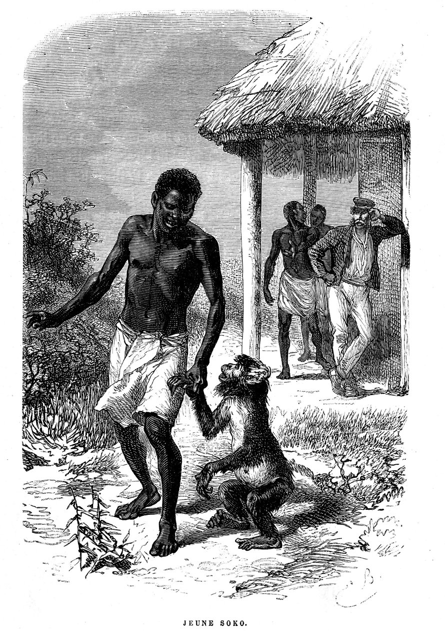 Jonge Soko-aap in Afrika. Gravure door Emile Bayard (1837-1891) ter illustratie van de laatste verhalen van ontdekkingsreiziger David Livingstone door Emile Antoine Bayard