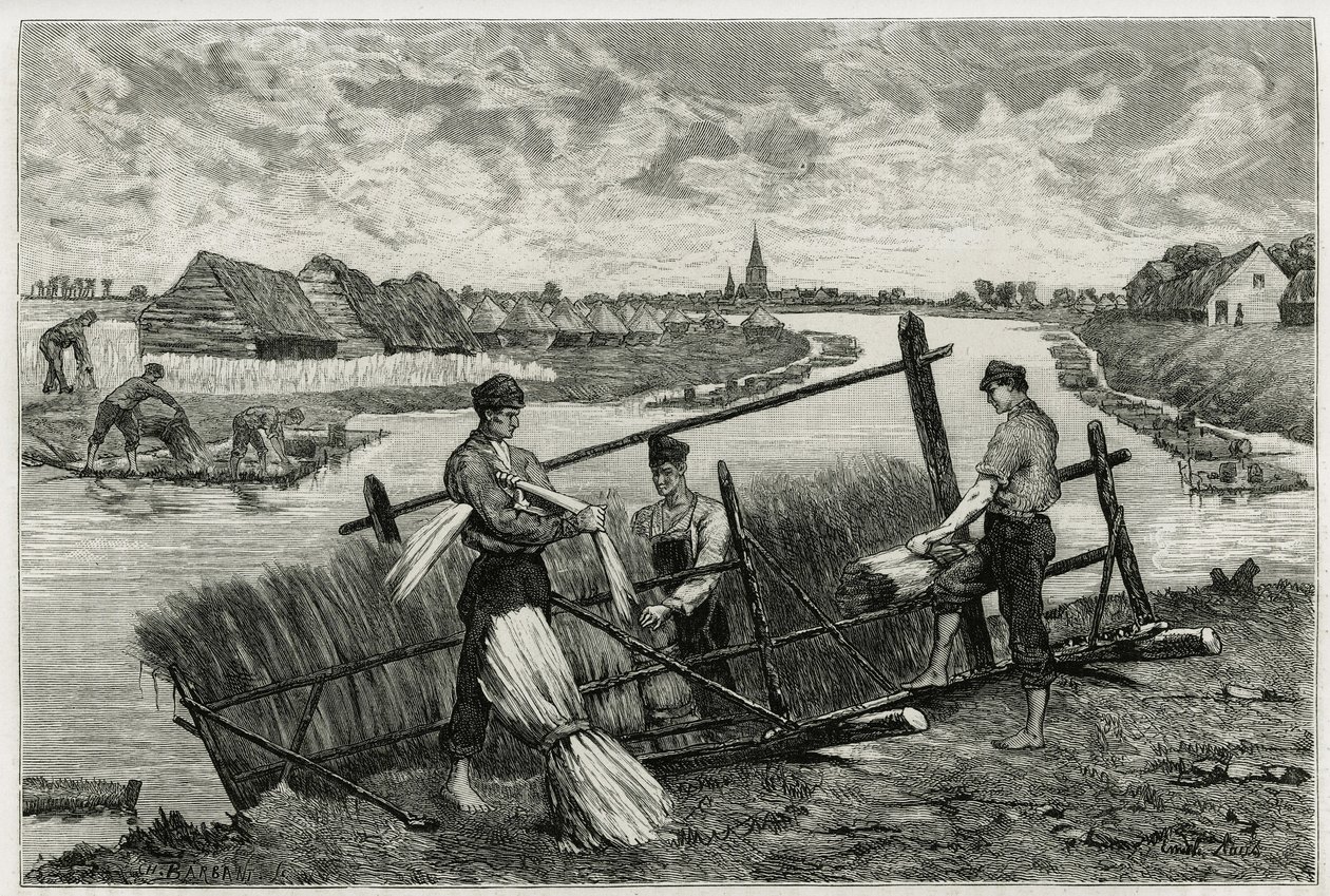 De roest van vlas (maceratie om de scheiding van de schors van de stengel te vergemakkelijken) in de Lys (rivier in het noorden van Frankrijk en België). Gravure door Emile Claus, ter illustratie van het verhaal "La Belgique", door Camille Lemonnier, schri door Emile Claus