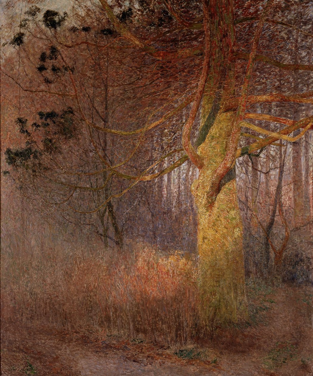 Zonnige boom door Emile Claus
