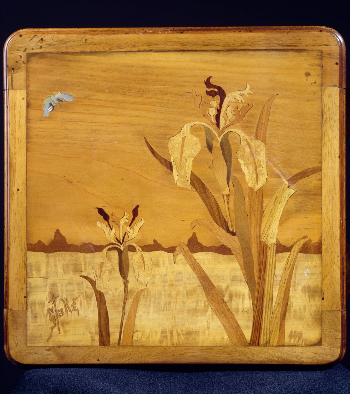 Art Nouveau stijl tafel, detail, Frankrijk, 20e eeuw door Emile Galle