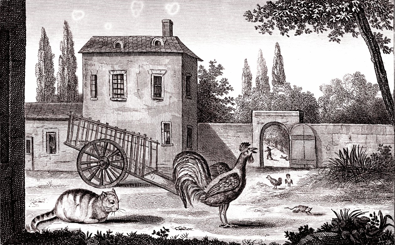 De haan, de kat en de muis, fabel van La Fontaine door Emile Joseph Alexandre Gouget