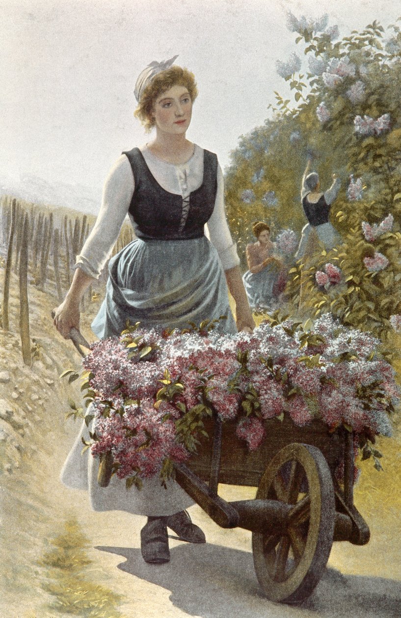 De bloemen oogsten door Emile Millochau