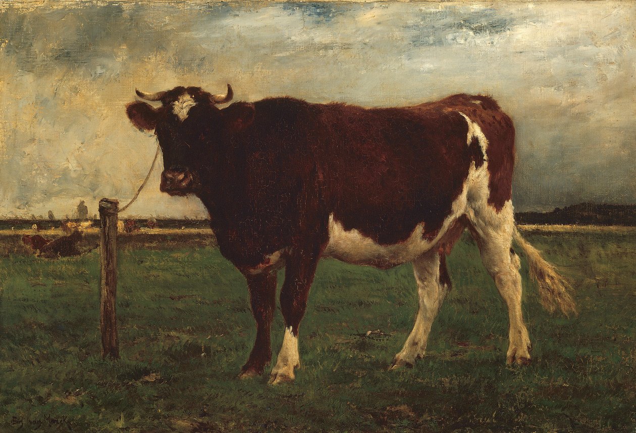 Studie van een koe door Emile van Marcke de Lummen