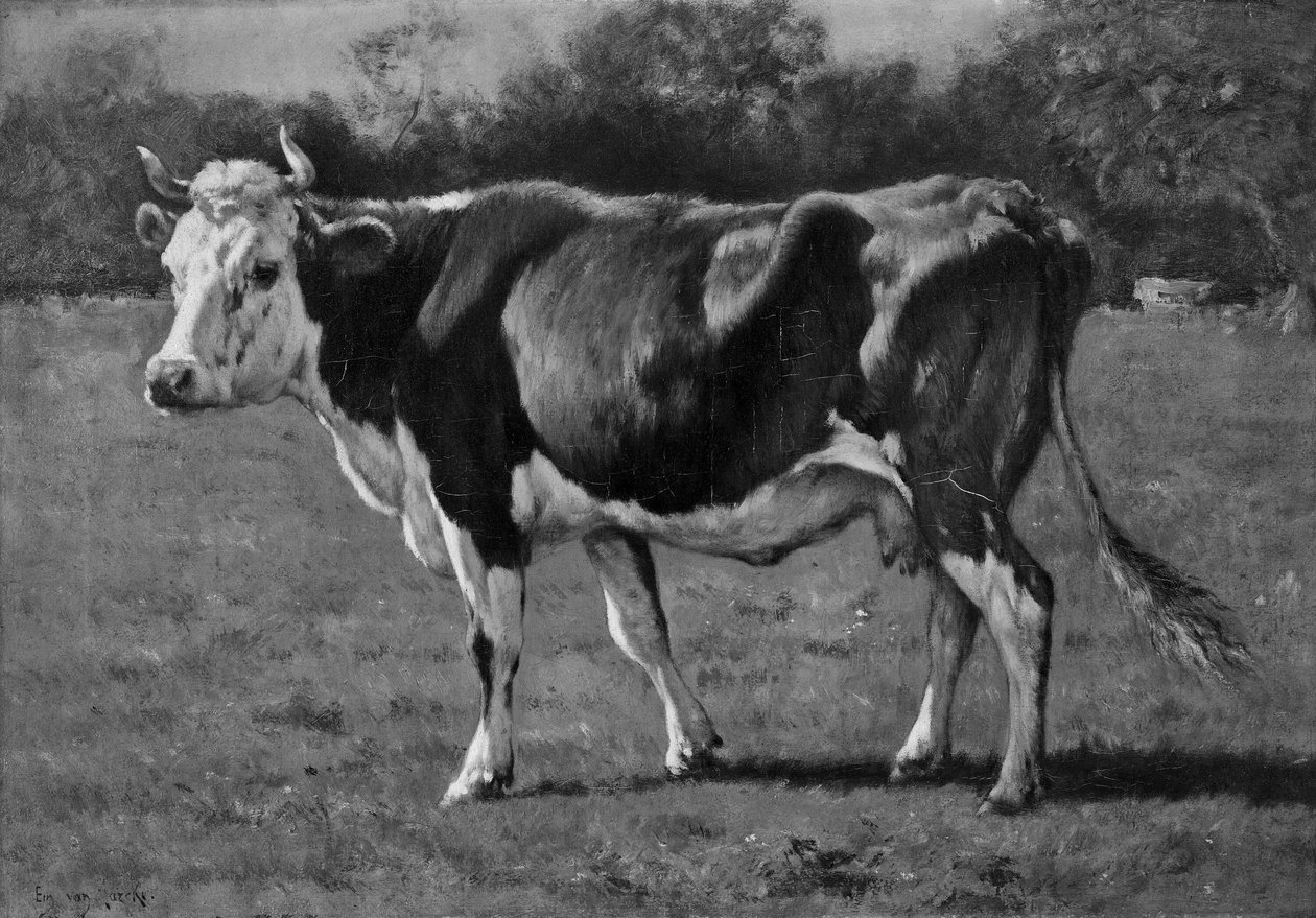 Studie van een koe door Emile van Marcke de Lummen