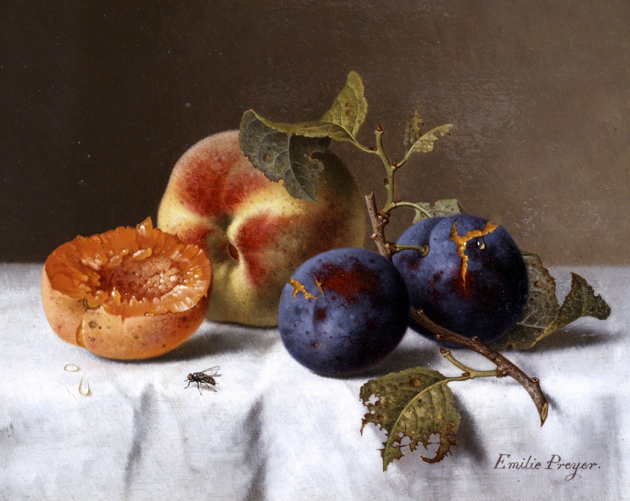 Stilleven van perziken en rotte pruimen. Schilderij van Emilie Preyer (1849-1930) Privécollectie. door Emilie Preyer
