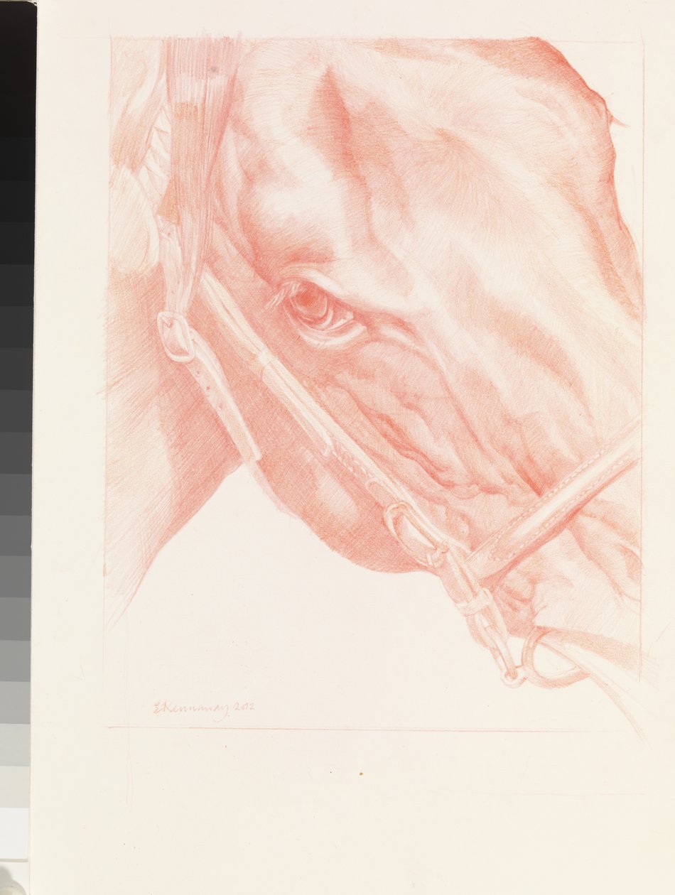 Portret Hoofd, 2012 door Emma Kennaway