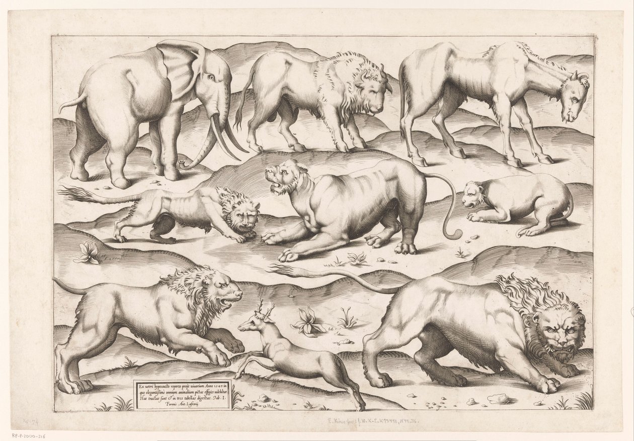 Negen wilde dieren door Enea Vico (attributed to)
