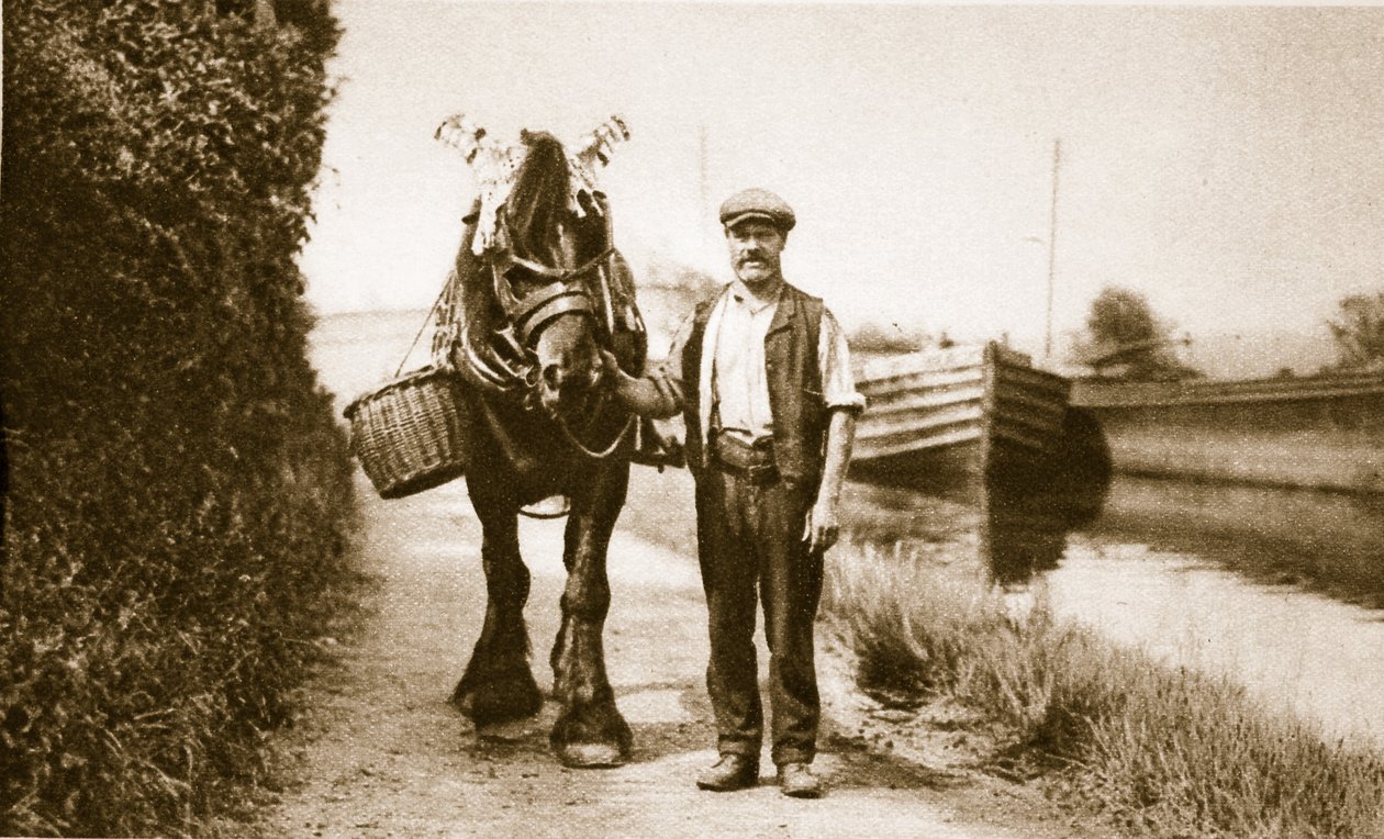 Een paard klaar om een kanaalschuit te trekken, Londen door English Photographer