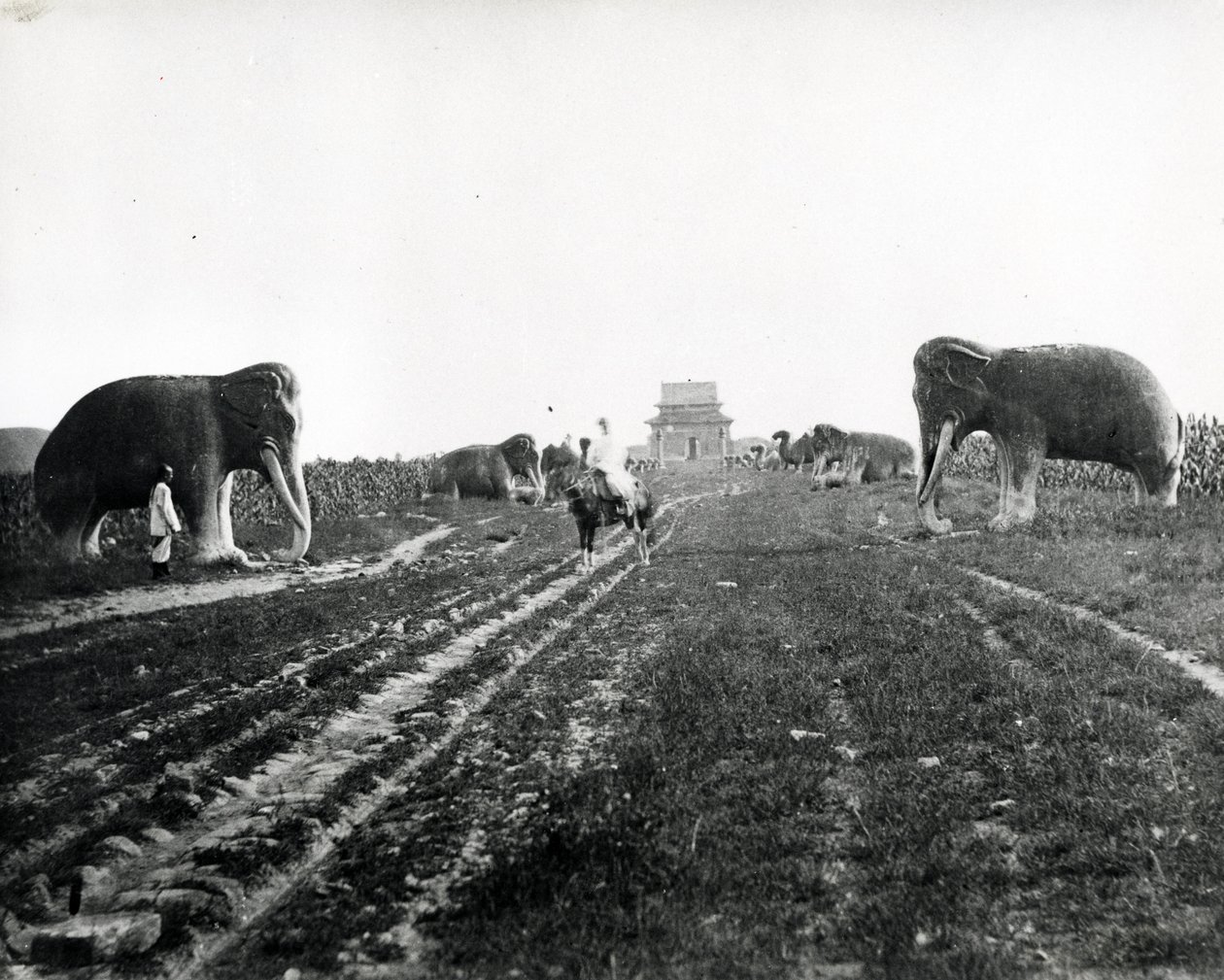Laan van Wachtdieren naar de Ming-graven, Peking, c.1868-70 door English Photographer