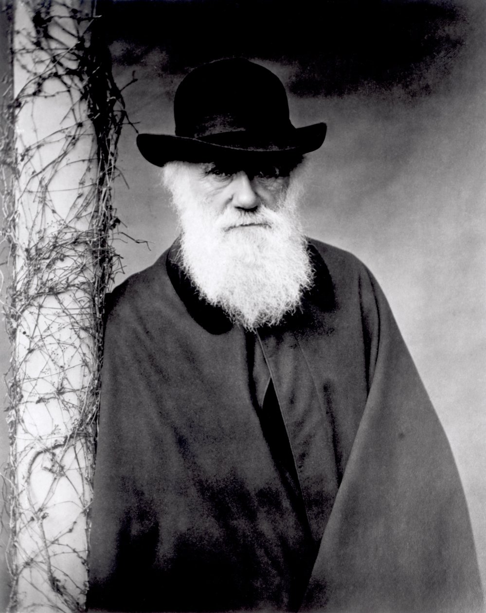 Portret van Charles Darwin, 1881 door English Photographer
