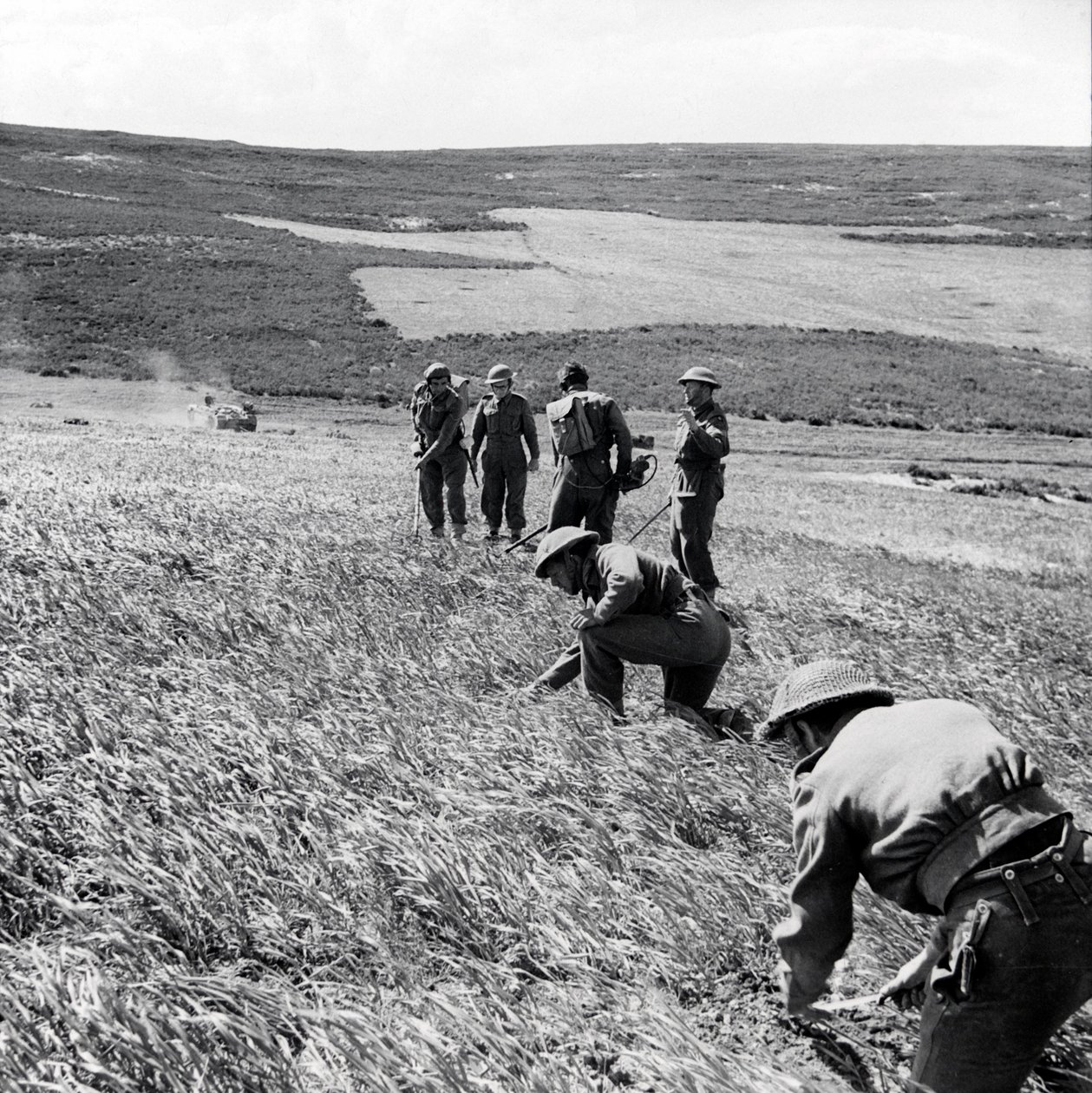 Genisten van de 237 Field Company, Royal Engineers, ruimen een mijnenveld op na de aanval van het Eerste Leger op Toukabeur en Chaouach, april 1943 door English Photographer