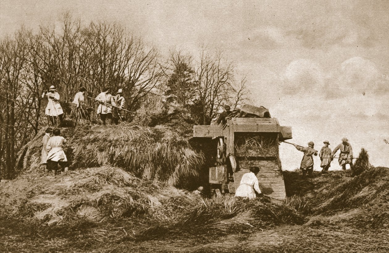 Opleiding van het Vrouwenlandleger in de theorie en praktijk van alle takken van de landbouw, 1914-19 door English Photographer