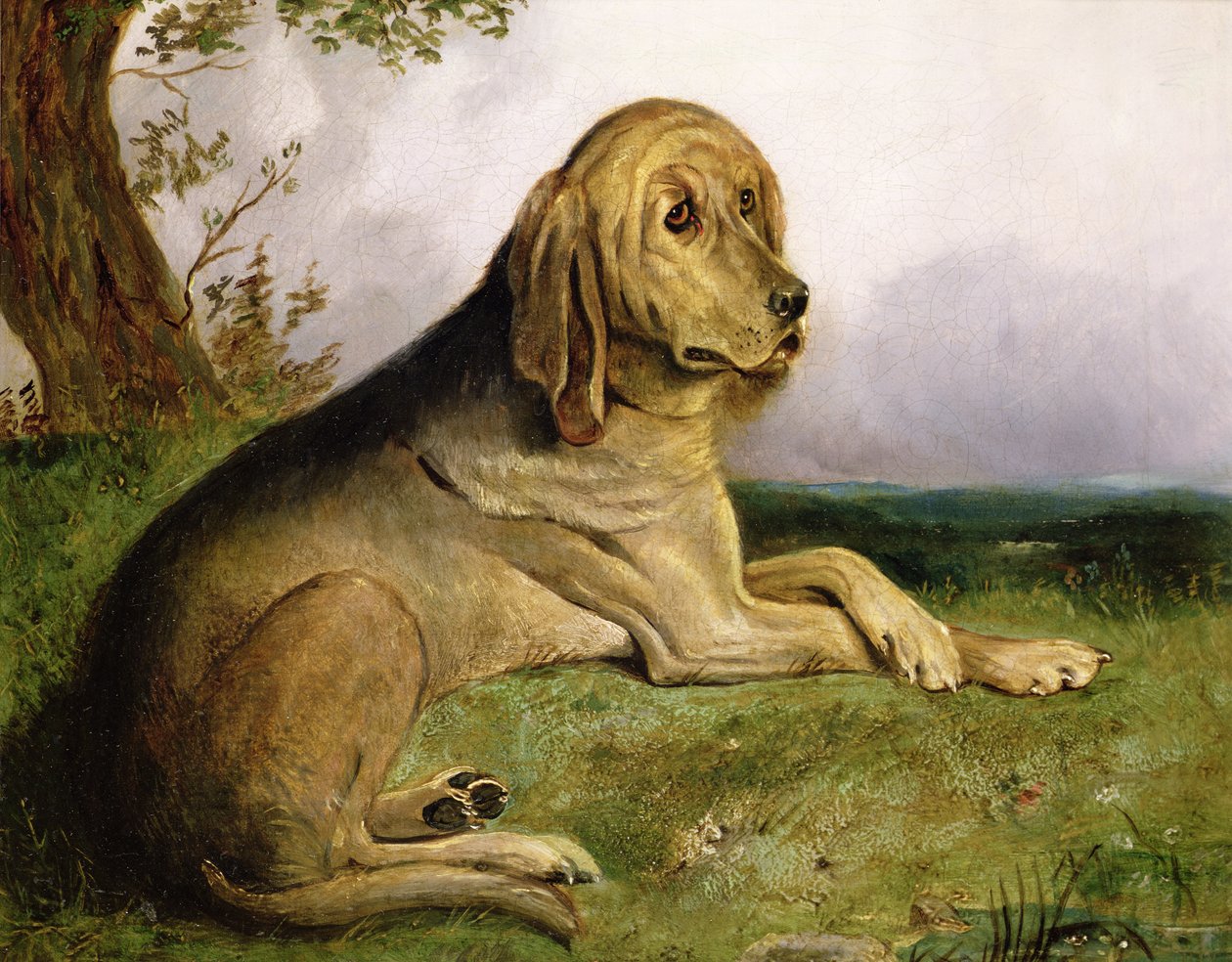 Een bloedhond in een landschap door English School