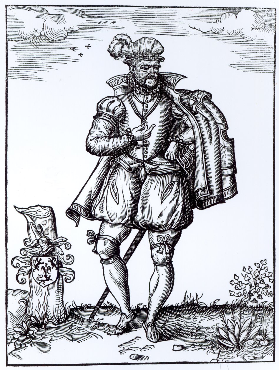 Een Tudor heer door English School