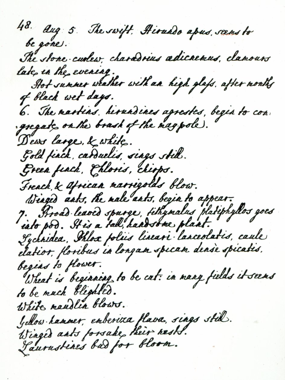 Een pagina uit het dagboek van Rev. James Woodforde door English School
