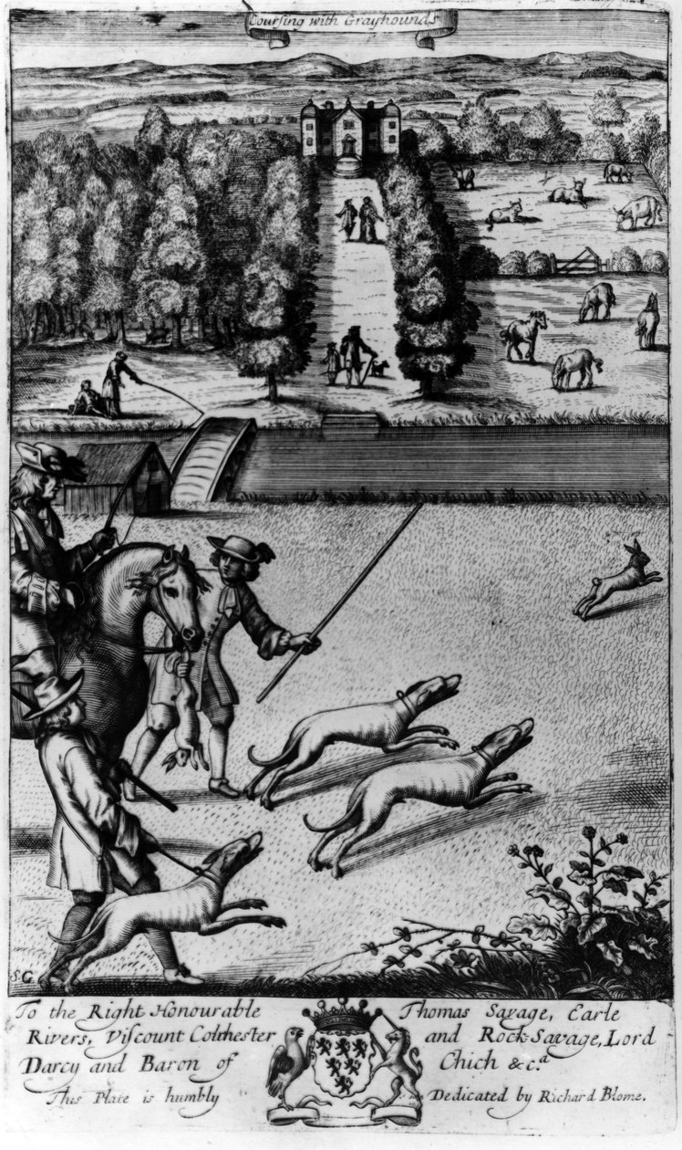 Coursing met windhonden, uit 