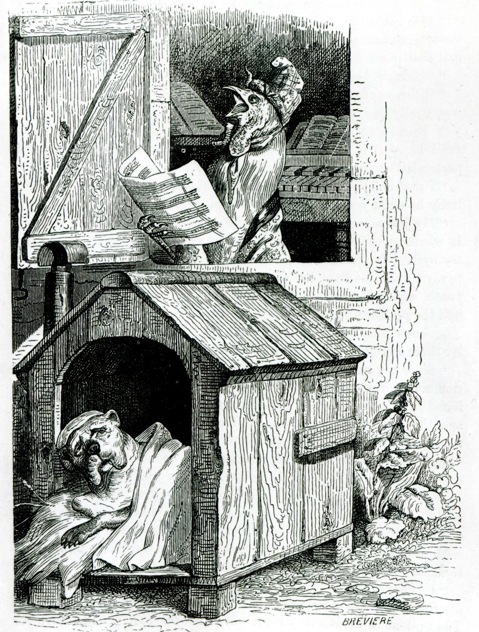 Hond die slaapt en haan die zingt, uit J. Thomson