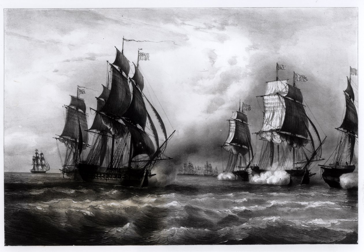 Schip 