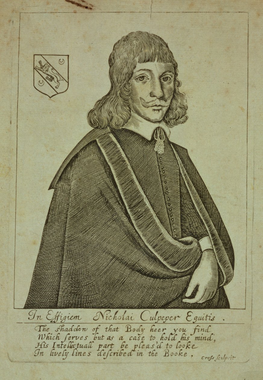 Portret van Nicholas Culpeper (1616-54) uit A Physical Directory, of a Translation of the London Dispensatory, gegraveerd door Thomas Cross, 1649 door English School