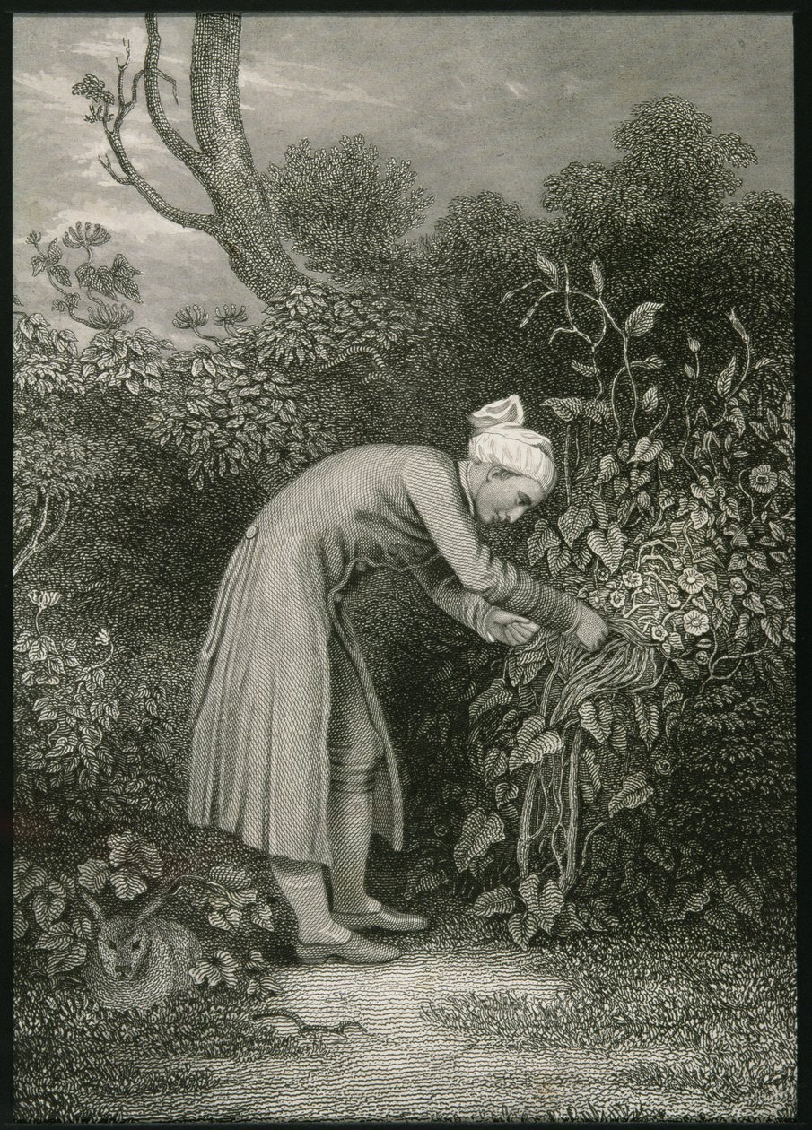 William Cowper (1731-1800) door English School