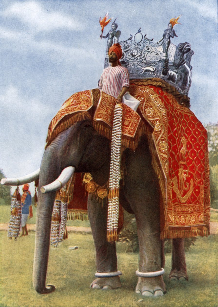 India: Kleur  magie (kleurenfoto) door English Photographer