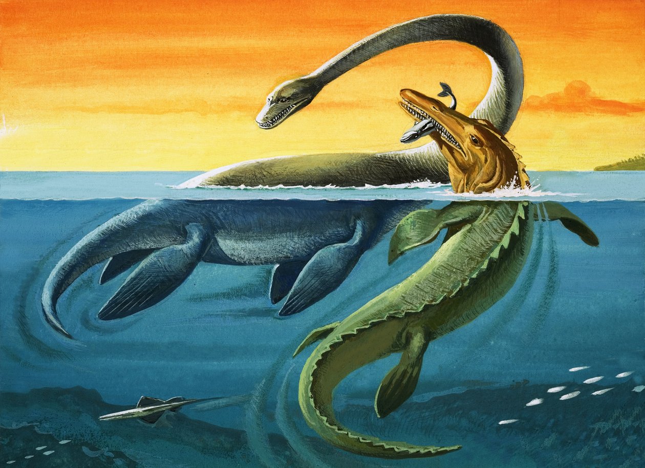 Prehistorische wezens in de oceaan (gouache op papier) door English Photographer